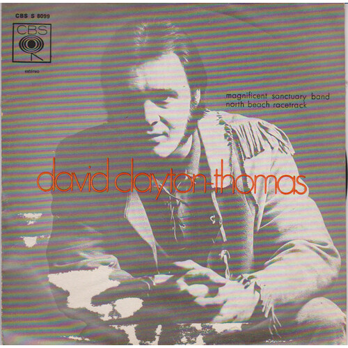 Magnificent Sanctuary Band b/w North Beach Racetrack (picture sleeve)