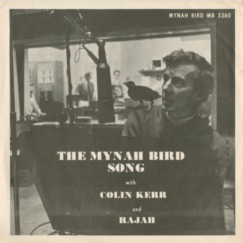 The Mynah Bird Song
