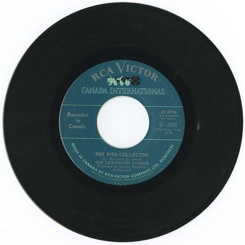 The Bird Collector b/w Flowing Kind of Feeling