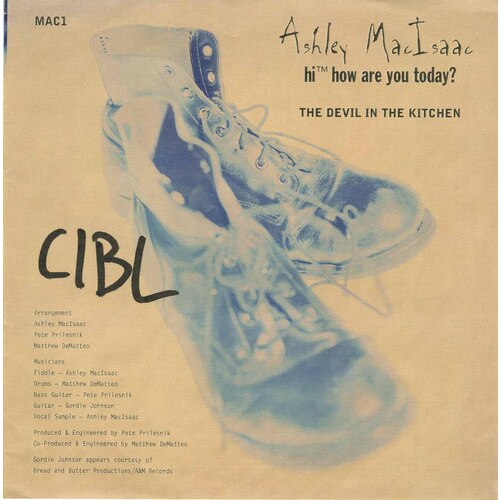 The Devil in the Kitchen b/w What an Idiot He Is (featuring Jale) (picture sleeve, clear blue vinyl)