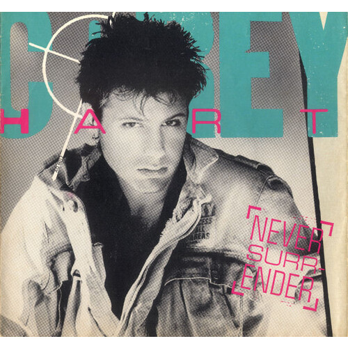 Never Surrender b/w Water From the Moon (Picture Sleeve)