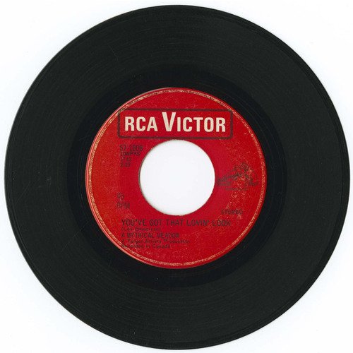 You've Got That Lovin' Look b/w I Am the Sun