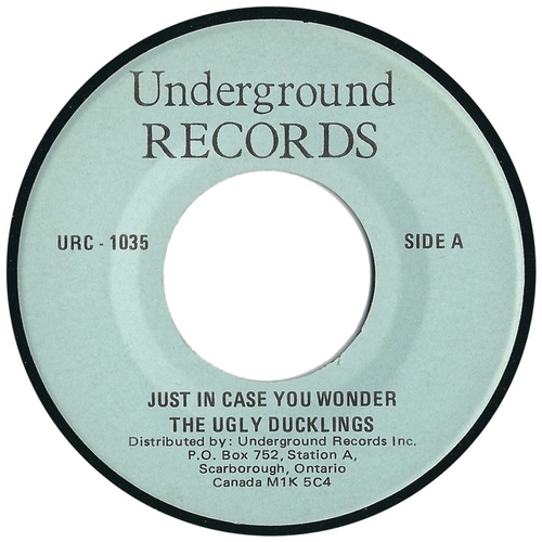 Just in Case You Wonder (split with The Nashville Teens)