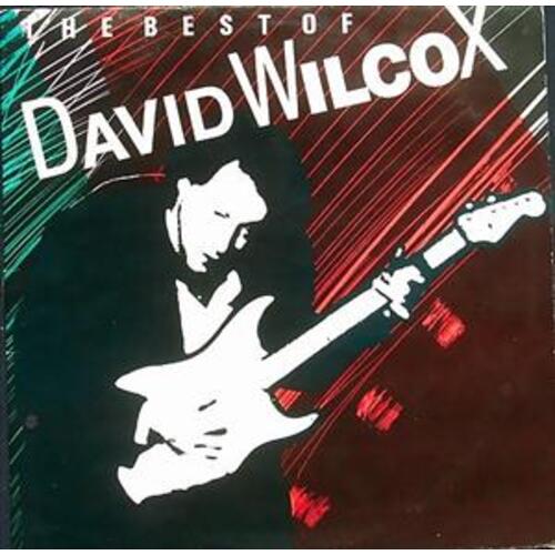 Best of David Wilcox