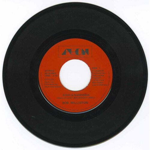 Echo and Narcissus b/w Vision of Steel