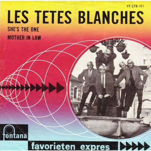 She's the One b/w Mother in Law (picture sleeve)