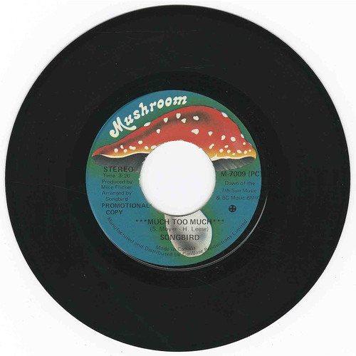 Much Too Much (promo)