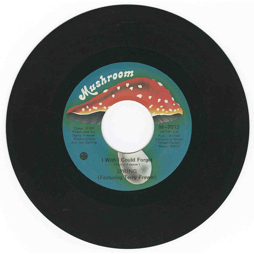 I Wish I Could Forget b/w Strut McGurk