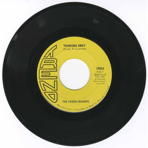 Thinking Away b/w Anatomy of a Shadow