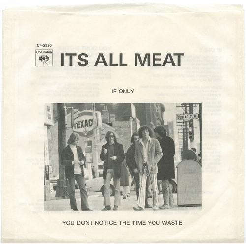 You Don't Notice the Time You Waste b/w If Only (picture sleeve)