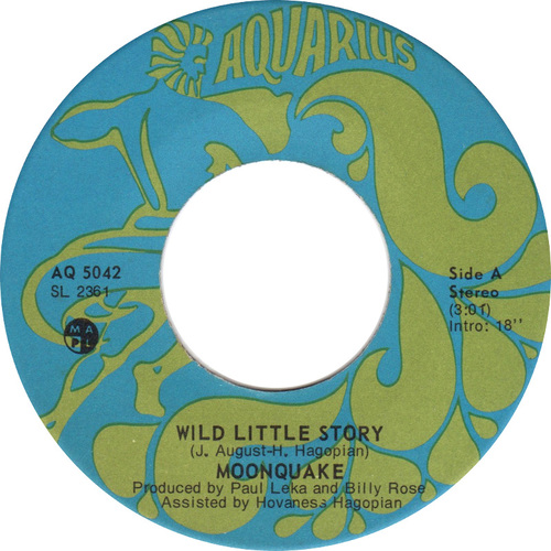 Wild Little Story b/w Nothing At All
