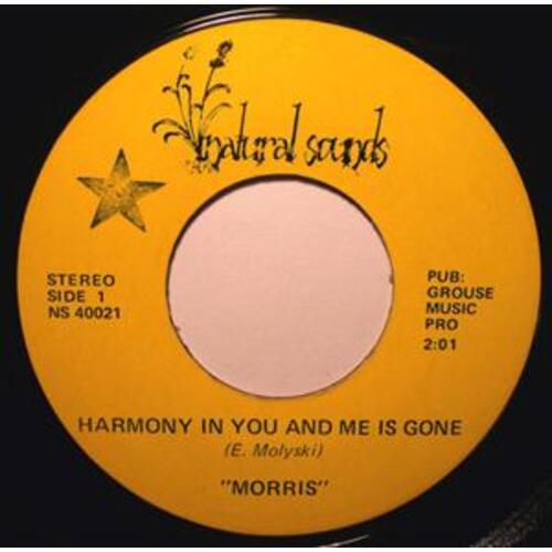 The Harmony in You and Me is Gone b/w Sunny Sunday