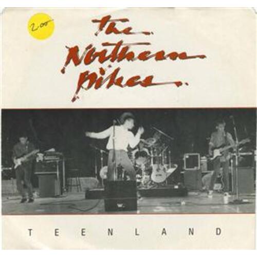 Teenland b/w Heartaches Heartbreaks (Open Up) (picture sleeve)