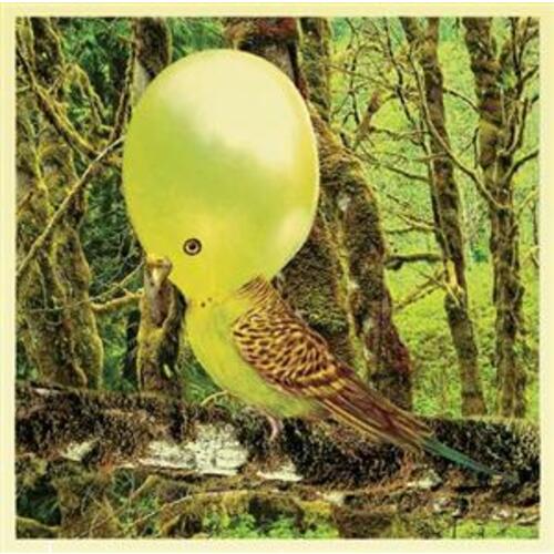 Oh Yes You Better Do