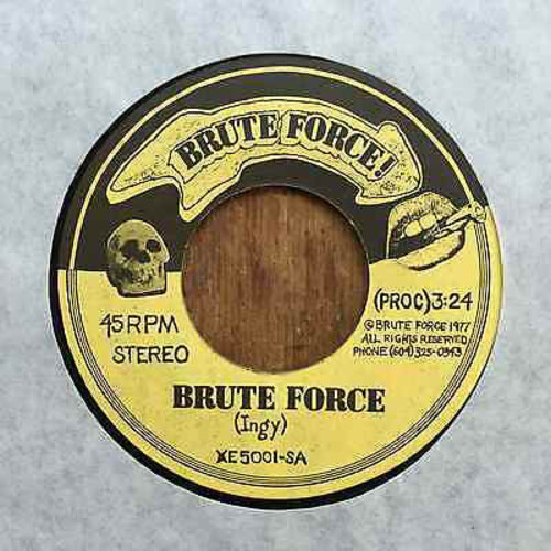 Brute Force b/w Slave Driver