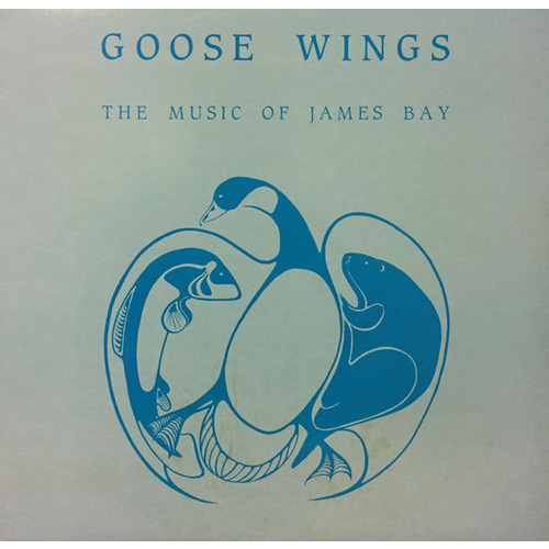 Goose Wings: The Music Of James Bay