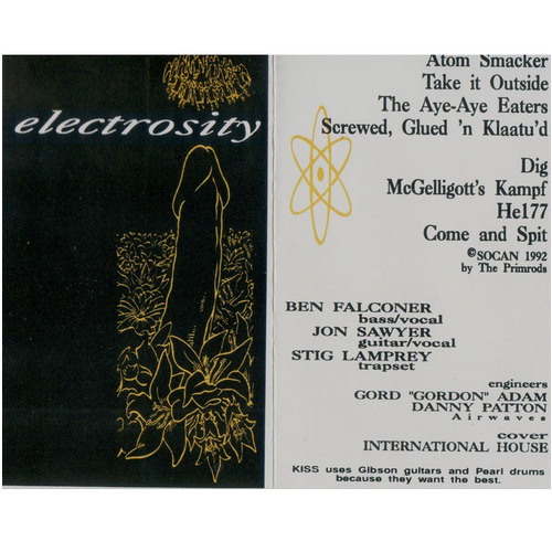 Electrosity