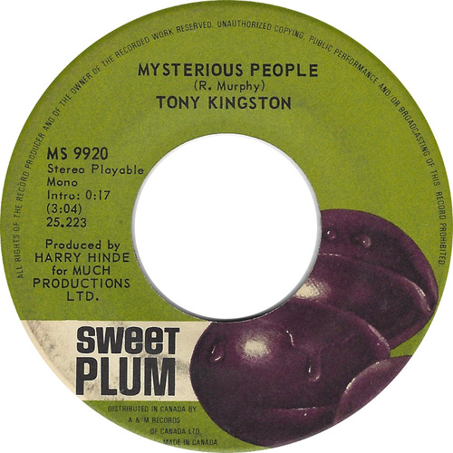 Mysterious People b/w Who's Gonna Sing My Rock and Roll Song