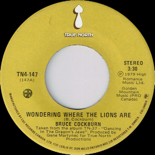 Wondering Where the Lions Are b/w Rainfall