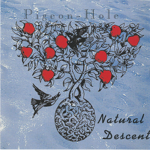 Natural Descent
