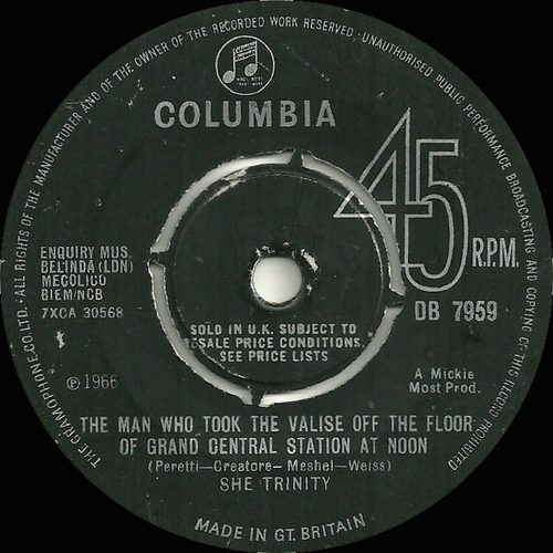 The Man Who Took the Valise Off the Floor of Grand Central Station at Noon b/w Wild Flower