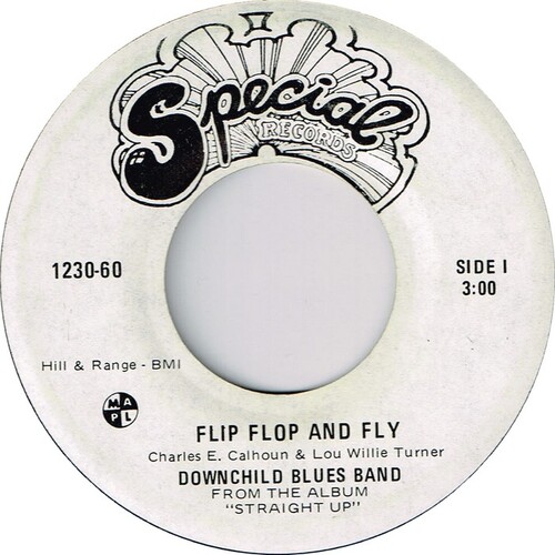 Flip Flop And Fly b/w Shot Gun Blues