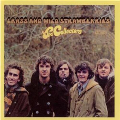 Grass and Wild Strawberries (re-issue)