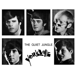 The quiet jungle 001001 squared