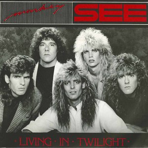 45 monkey see living in twilight pic sleeve front