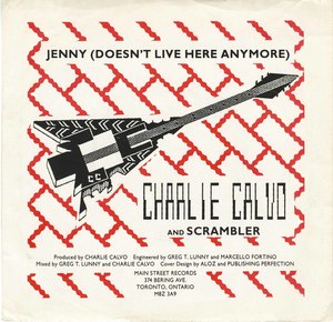 45 charlie calvo just how it hurts me pic sleeve front