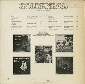 Goldenrod soundtrack back
