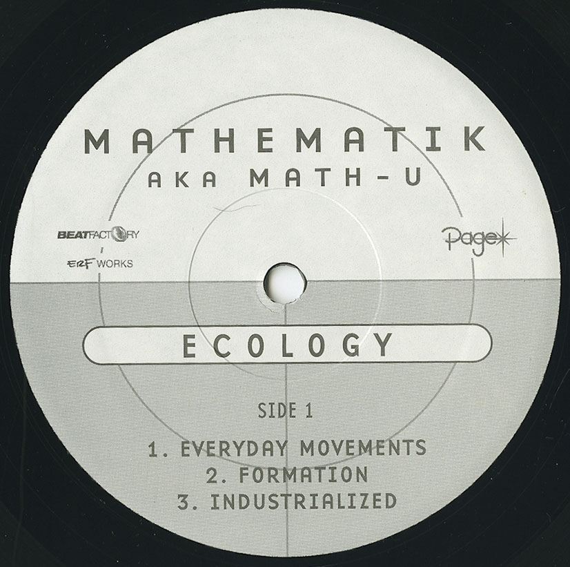 Mathematik - Ecology