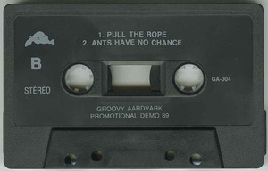 Cassette groovy aardvark promo demo cassette 02