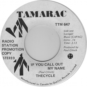 Thecycle if you call out my name stereo tamarac