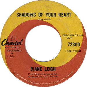 Diane leigh shadows of your heart capitol