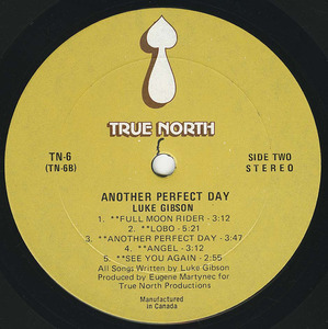 Luke gibson   another perfect day vinyl 02