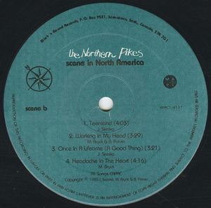 Northern pikes   scene in north america label 02