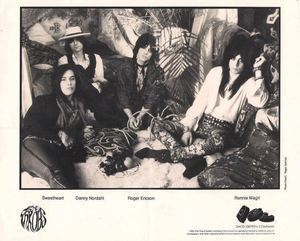 The throbs geffen records promo photo 1991. photo by roger gorman