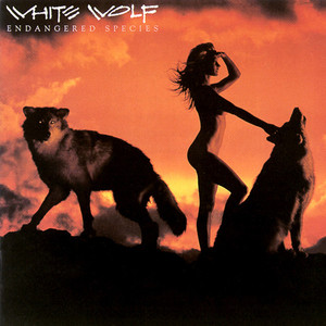 White wolf   endangered species