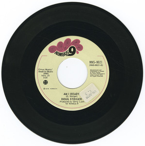 45 doug steiger   strawberry canyon vinyl 02
