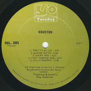Houston   st vinyl 01