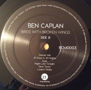 Caplan  ben   birds with broken wings %284%29