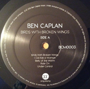 Caplan  ben   birds with broken wings %281%29