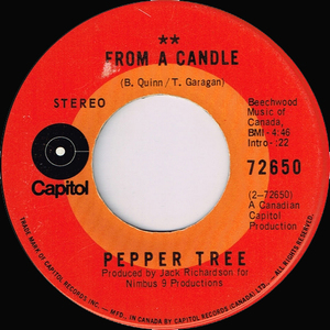 Pepper tree   you're my people bw from a candle %282%29