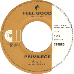 Privilege   rock and roll bw feel good %281%29