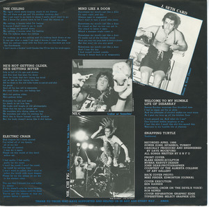 Snfu   if you swear  you'll catch no fish nm insert side 02