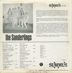 Sanderlings   st back