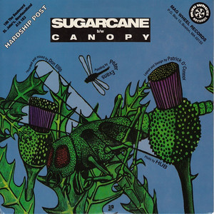 Hardship post   sugarcane bw canopy test press %284%29