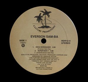 Vinyl %282%29
