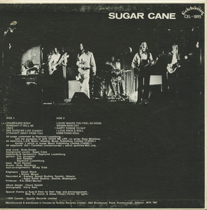 Sugar cane   st back